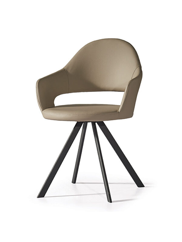 F306 Dining Chair